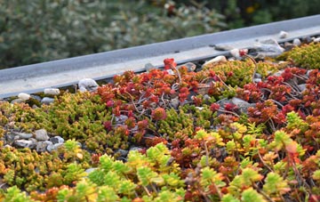 the cost of Westbury Sub Mendip green roof installation