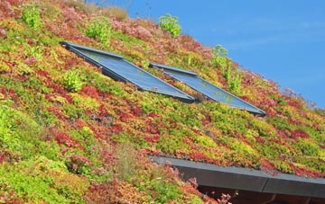 Westbury Sub Mendip living roof systems