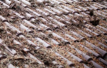 Westbury Sub Mendip roof cleaning companies