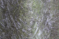 Westbury Sub Mendip fibreglass roof work